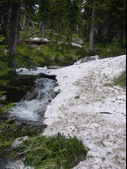 Enlarge photo 50