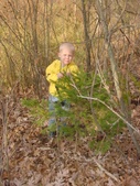 Enlarge photo 16