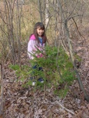 Enlarge photo 17