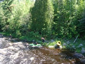 Enlarge photo 13