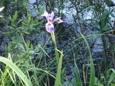 Enlarge photo 19