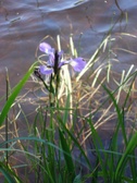 Enlarge photo 25