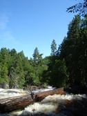 Enlarge photo 32