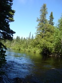 Enlarge photo 33