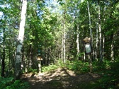Enlarge photo 34