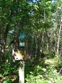 Enlarge photo 35