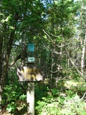 Enlarge photo 36