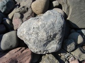 Enlarge photo 78