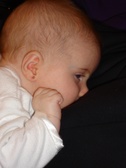 Enlarge photo 147