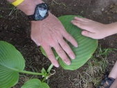 Enlarge photo 11