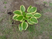 Enlarge photo 15