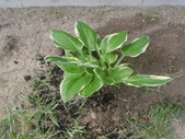 Enlarge photo 18