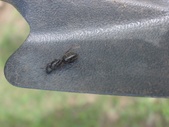 Enlarge photo 26