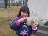 Miland 2007