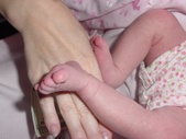 Enlarge photo 46