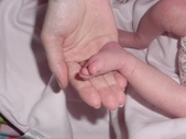 Enlarge photo 47