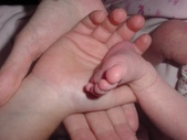 Enlarge photo 48