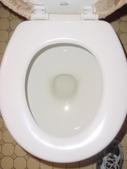 Enlarge photo 47
