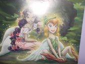 Enlarge photo 59