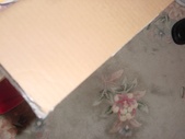 Enlarge photo 61
