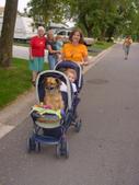 The Walk