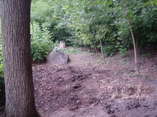 Enlarge photo 16