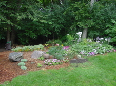 Enlarge photo 22