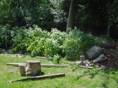 Enlarge photo 6
