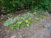 2003