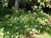 Enlarge photo 17