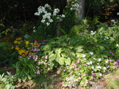Enlarge photo 18