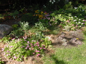 Enlarge photo 19