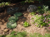 Enlarge photo 20