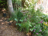 Enlarge photo 21