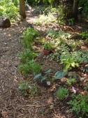 Enlarge photo 24