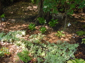 Enlarge photo 25