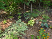 Enlarge photo 26