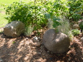 Enlarge photo 27