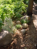Enlarge photo 28