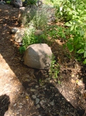 Enlarge photo 29