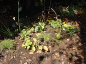 Enlarge photo 30