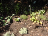 Enlarge photo 31