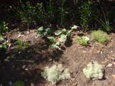 Enlarge photo 32