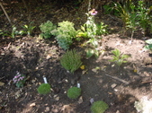 Enlarge photo 33