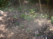 Enlarge photo 34