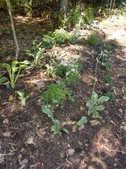 Enlarge photo 35
