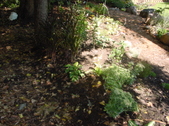 Enlarge photo 36