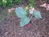 Enlarge photo 23