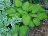 Enlarge photo 26