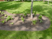 Enlarge photo 30
